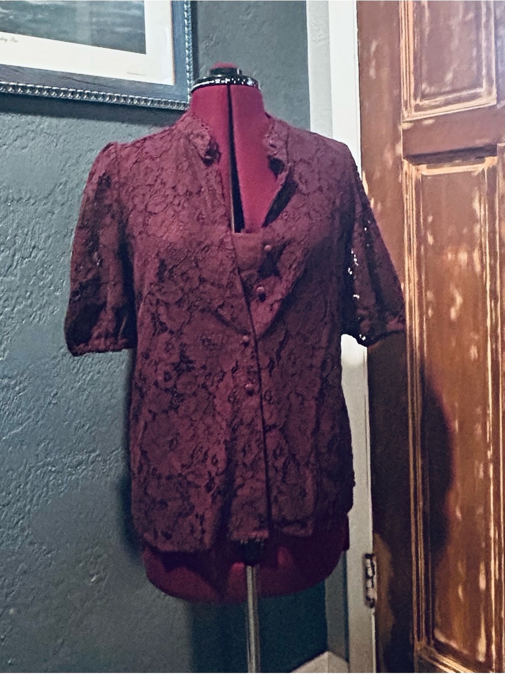 Ann Taylor Burgundy Lace Short-Sleeve Button Front Blouse